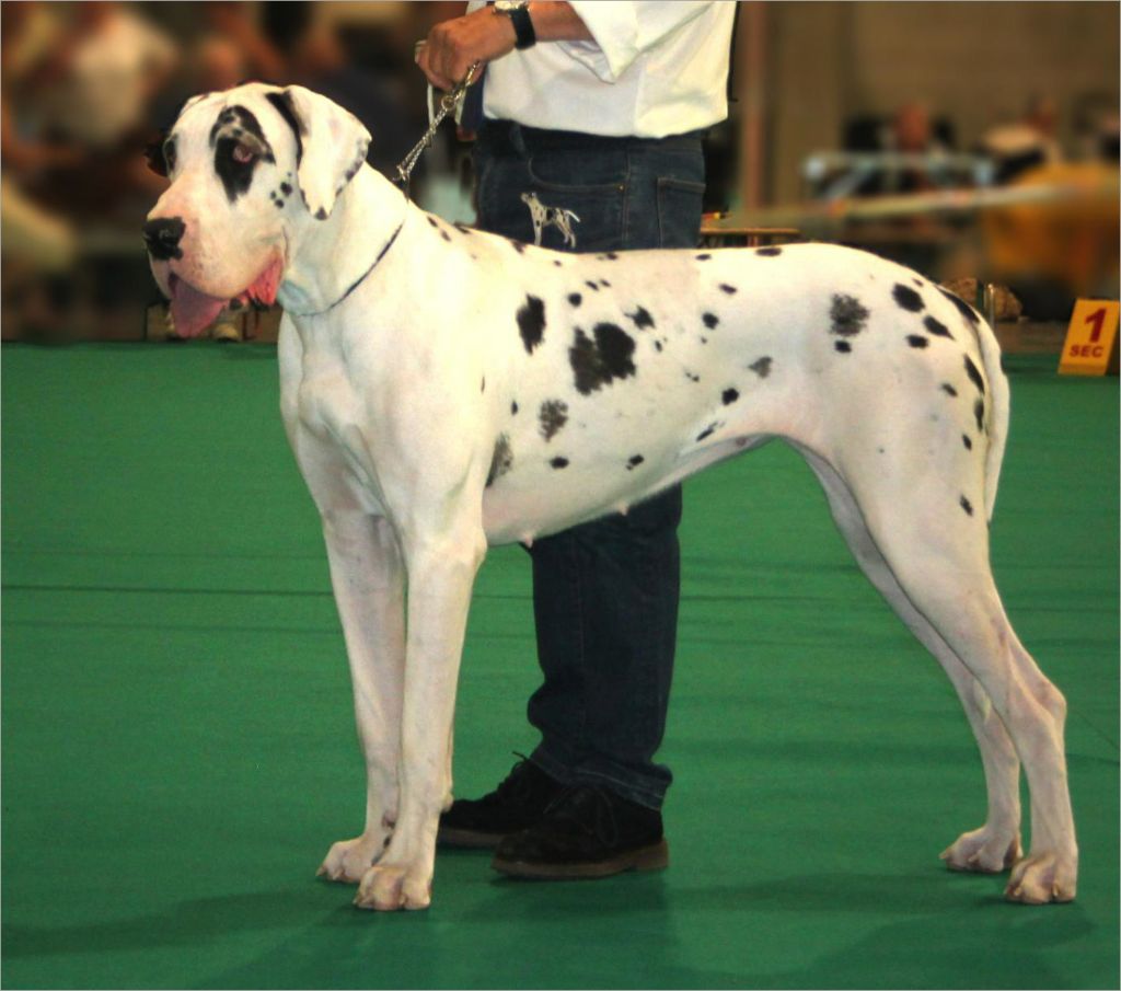 Samothrace des monts d'orosia