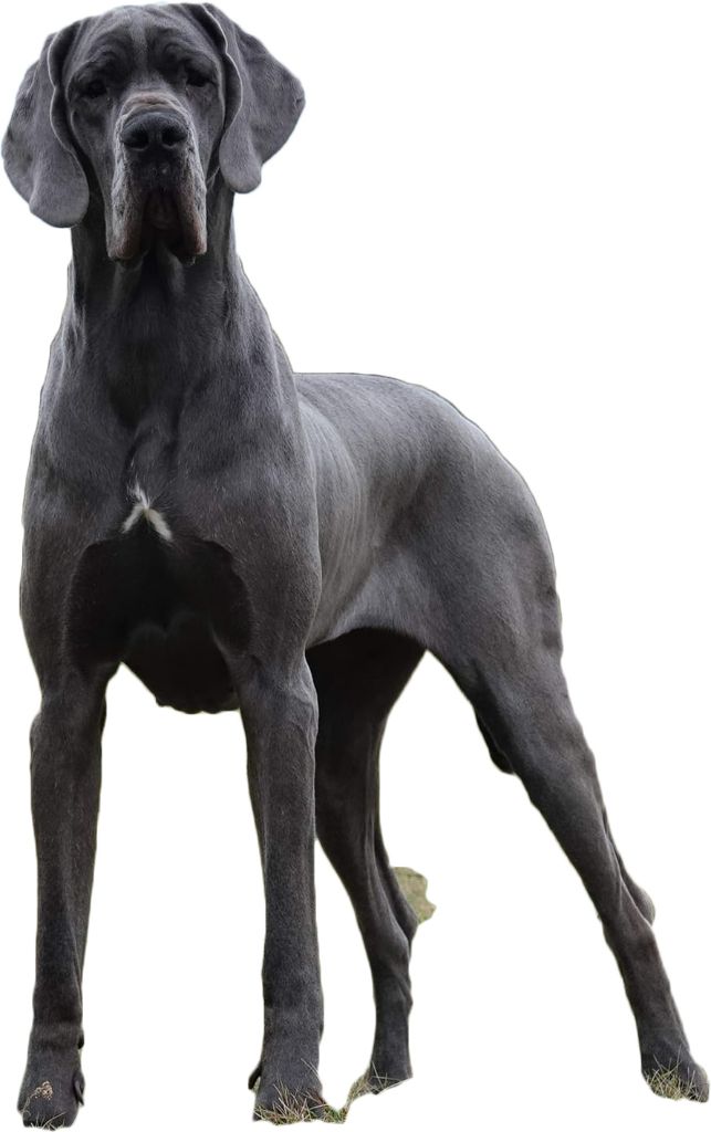 Georgia vom herstallturm